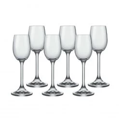 Lara Liqueur Glass Set Of 6