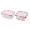 2 Piece Oven Safe Food Container Set